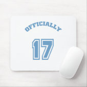Officieel 17 muismat (Met muis)