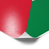 officieel de staatsvlag van Palestina Foto Afdruk (Hoek)