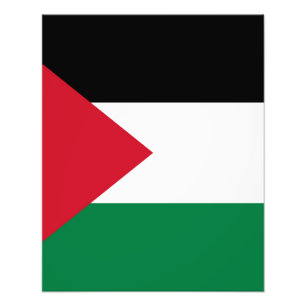 officieel de staatsvlag van Palestina Foto Afdruk
