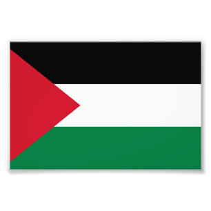 officieel de staatsvlag van Palestina Foto Afdruk