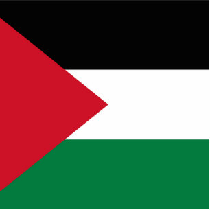 officieel de staatsvlag van Palestina Fotobeeldje Magneet