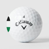officieel de staatsvlag van Palestina Golfballen (Logo)