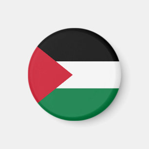 officieel de staatsvlag van Palestina Magneet