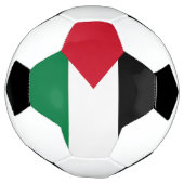 officieel de staatsvlag van Palestina Voetbal (Gedraaid)