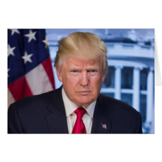 Officieel presidentieel portret van Donald Trump
