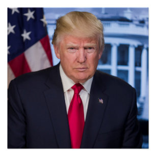 Officieel presidentieel portret van Donald Trump Perfect Poster