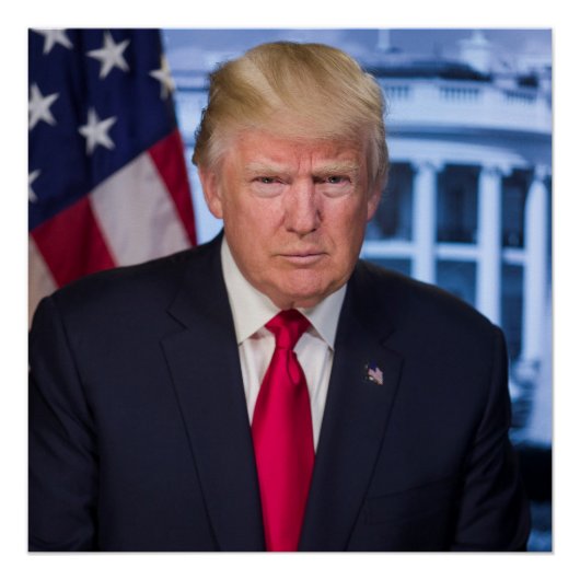 Officieel presidentieel portret van Donald Trump Perfect Poster (Voorkant)