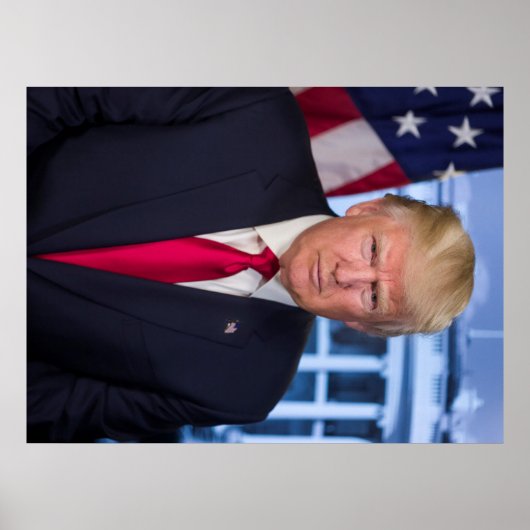 Officieel presidentieel portret van Donald Trump Poster (Voorkant)