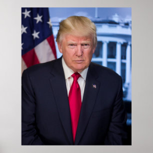 Officieel presidentieel portret van Donald Trump Poster