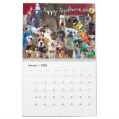 Officiële Boxer Dog Levensduur - 15 maanden Dog Ag Kalender (Jan 2026)