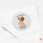 Officiële Disclaimer Mijn Gezicht Ronde Sticker (Envelop)