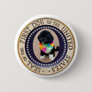 Officiële eerste Dog Bo Button