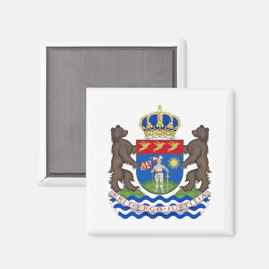 officiële gaplamagneet magneet (Voorkant / Achterkant)