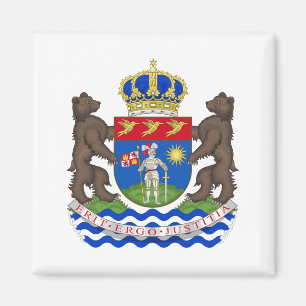 officiële gaplamagneet magneet