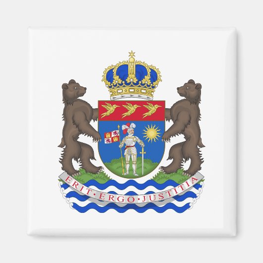 officiële gaplamagneet magneet (Voorkant)