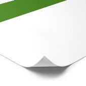 OFFICIËLE GENDERQUEER PRIDE FLAG POSTER (Hoek)