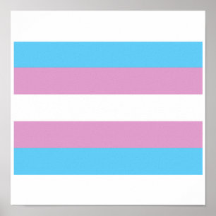 OFFICIELE TRANSGENDER PRIDE VLAG POSTER