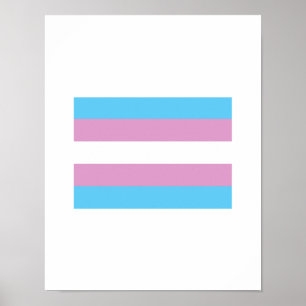 OFFICIËLE TRANSGENDER PRIDE VLAG POSTER