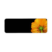 Offset Cosmos Return Address Labels (Voorkant)