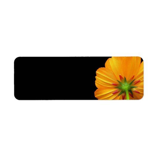 Offset Cosmos Return Address Labels (Voorkant)