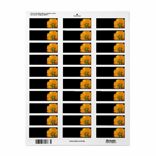 Offset Cosmos Return Address Labels (Full Sheet)