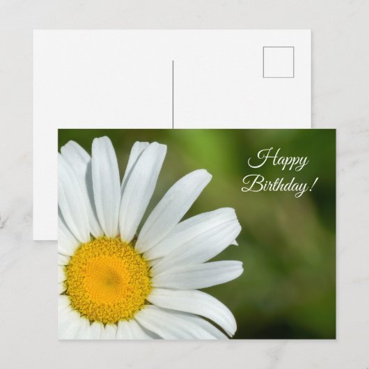 Offset Daisy Happy Birthday Briefkaart (Voorkant / Achterkant)