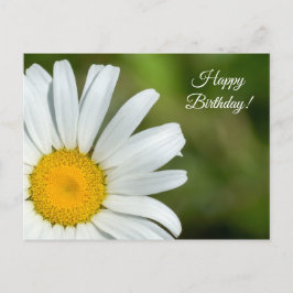 Offset Daisy Happy Birthday Briefkaart