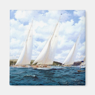 Offshore races magneet