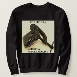 "Ofwel dit... ofwel krijg je een begrotingsanalist Trui