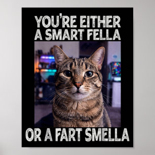 Ofwel Een Slim Kereltje Of Een Domme Kerel Grappig Poster