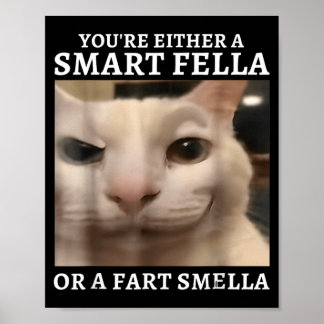 Ofwel Een Slimme Vent Of Een Scheet Stinker Grappi Poster