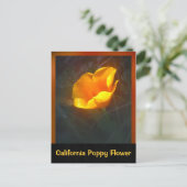 Ogange California Flower Briefkaart (Staand voorkant)