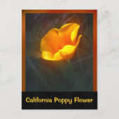 Ogange California Flower Briefkaart (Voorkant)