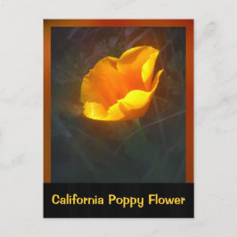 Ogange California Flower Briefkaart