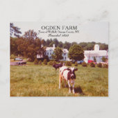 Ogden Boerderij Town of Wallkill Oranje County NY  Briefkaart (Voorkant)