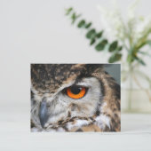 ogen briefkaart (Staand voorkant)
