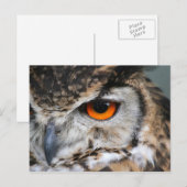 ogen briefkaart (Voorkant / Achterkant)