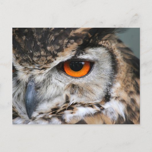 ogen briefkaart (Voorkant)