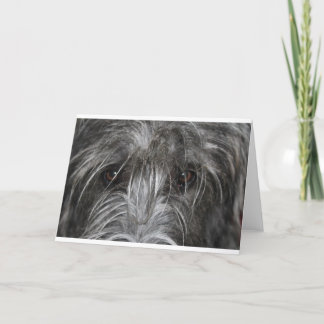 Ogen die betoveren kaart