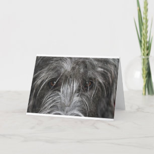 Ogen die de indruk wekken kaart