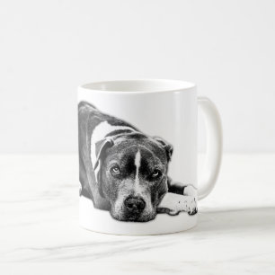 Ogen die loyaliteit spreken Pitbull Mix Mok