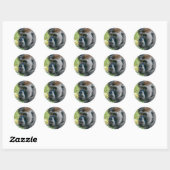 Ogen Die Luisteren – Lope de Gorilla Ronde Sticker (Vel)