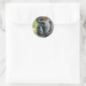 Ogen Die Luisteren – Lope de Gorilla Ronde Sticker (Tas)