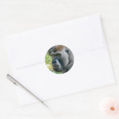 Ogen Die Luisteren – Lope de Gorilla Ronde Sticker (Envelop)