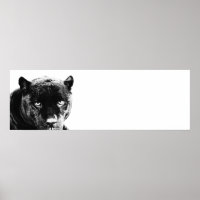 Ogen Jaguar Pop Kunst