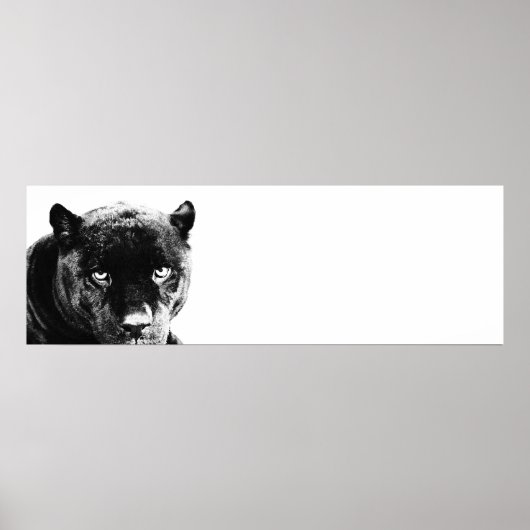 Ogen Jaguar Pop Kunst Poster (Voorkant)