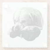 Ogen op de prijs glazen onderzetter (Achterkant)