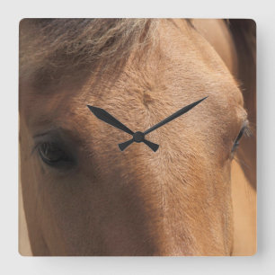 Ogen op een bruine-paardenwandklok vierkante klok
