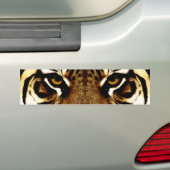 Ogen op een tijger bumpersticker (Op auto)