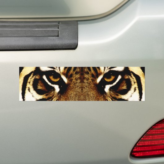 Ogen op een tijger bumpersticker (Op auto)
